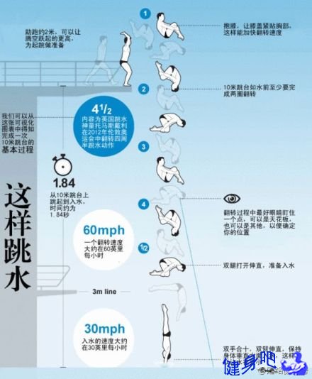 如何漂亮完成10米跳台?我们可以参照专业级跳水运动员的基本跳水步骤.