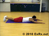 游式挺身 - 游式挺身锻炼竖脊肌动作图解