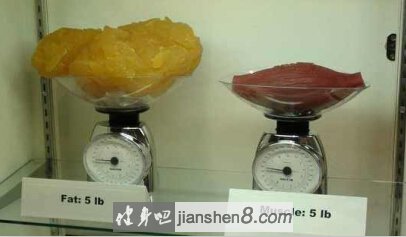 减肥知识:10张图带你认识脂肪!