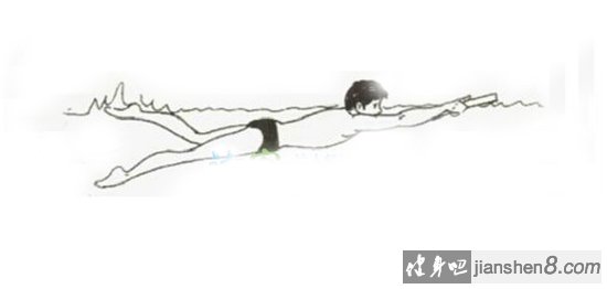 自由泳二次腿,自由泳的腿部动作