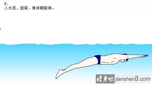 自由泳出发技术动作图解,自由泳出发视频教学(4)