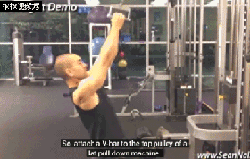 V