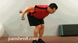 哑铃俯身臂屈伸 -单臂哑铃俯身臂屈伸动作图解
