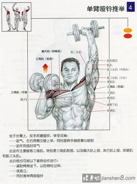 大重量杠、哑铃推举