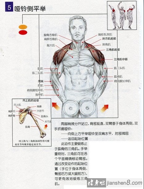 递增(减)重量的巨型组