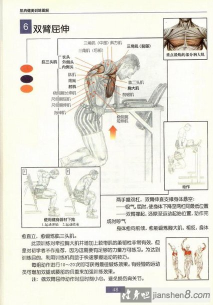 双杠臂屈伸