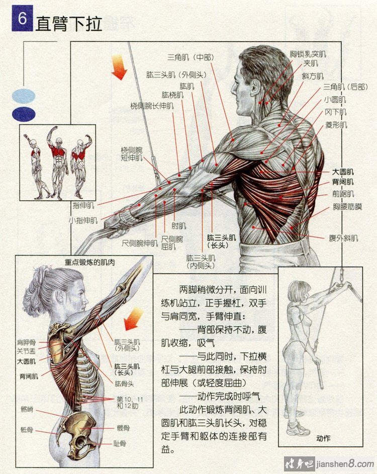 双手交叉直臂后抬图解图片