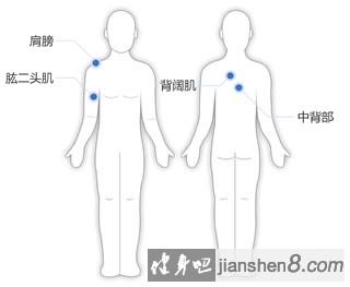 双臂俯身哑铃划船教学：