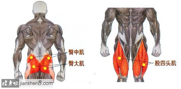 哑铃深蹲的正确姿势、哑铃深蹲注意事项