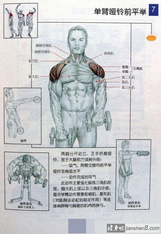 单臂哑铃前平举 - 单手哑铃前平举图解及动作要点