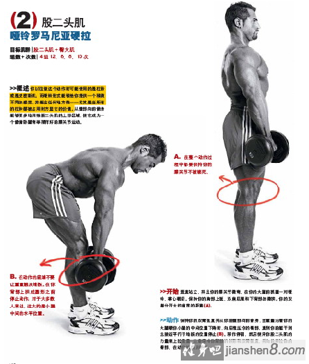 罗马尼亚硬拉 - 双腿/单腿罗马尼亚硬拉图解及动作详解