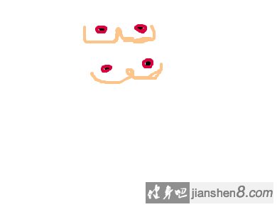 方形胸肌和圆形胸肌区分