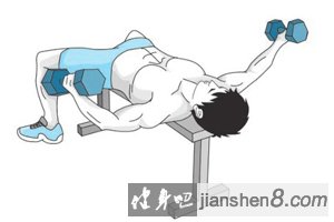 哑铃平板飞鸟标准姿势