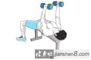 哑铃平板飞鸟标准姿势