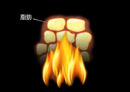 SLU-PP-332 energy supply | Shaanxi BLOOM Tech Co., Ltd SLU-PP-332 energy supply | Shaanxi BLOOM Tech Co., Ltd