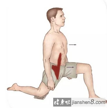 髂腰肌位置图片 训练图片