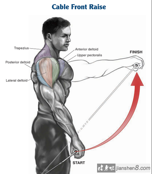 三角肌前束锻炼方法图片