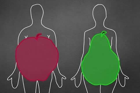 梨型身材和苹果型身材 哪个更容易瘦